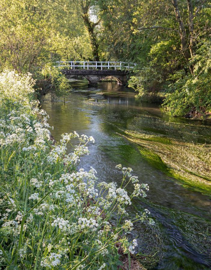 فندق The Queen'S Head At Broad Chalke المظهر الخارجي الصورة