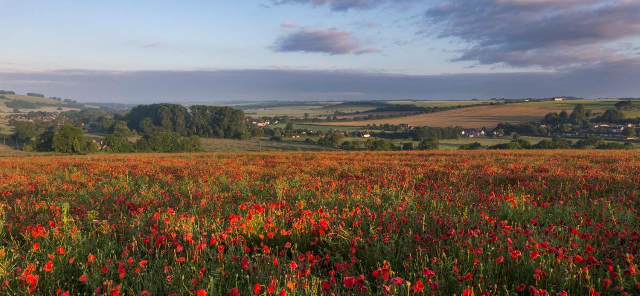 فندق The Queen'S Head At Broad Chalke المظهر الخارجي الصورة